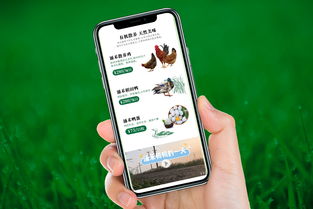 自然之涌，純凈之禾 涌禾農場全案品牌形象塑造之路